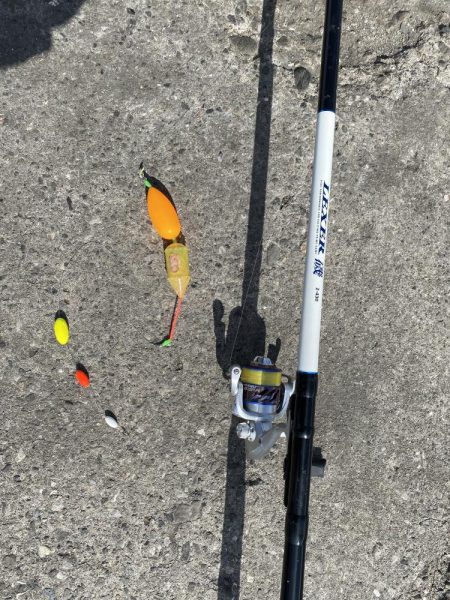 汐見埠頭でサヨリ