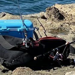 まぁまぁやな（笑）