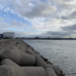 ガハハハハ　ツバス大