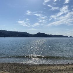 やっとティップランで！