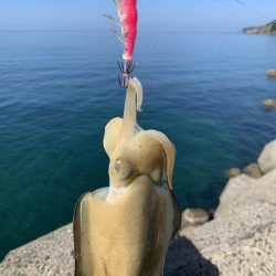 まさかのコイツが釣れた