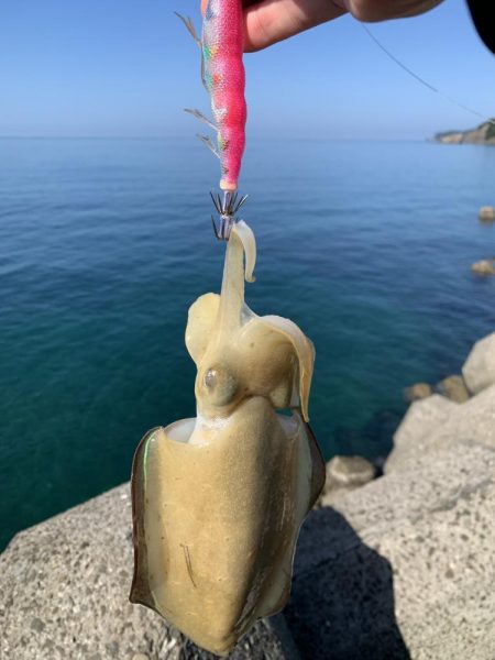 まさかのコイツが釣れた