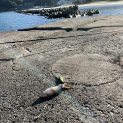 五幡海水浴場　付近　1杯