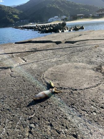 五幡海水浴場　付近　1杯