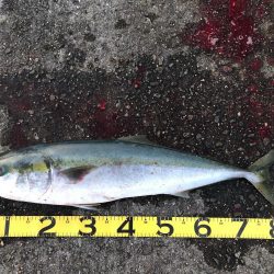 セットアッパー