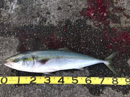 セットアッパー