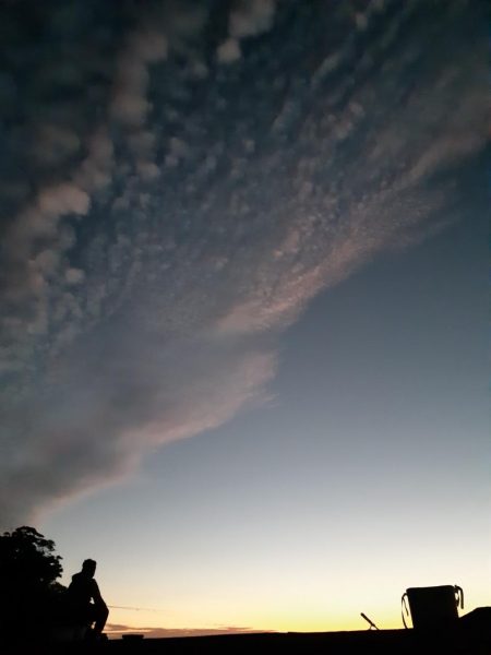 イカの気持ち４