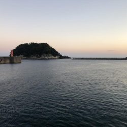 3ヶ月ぶりのアジ釣り