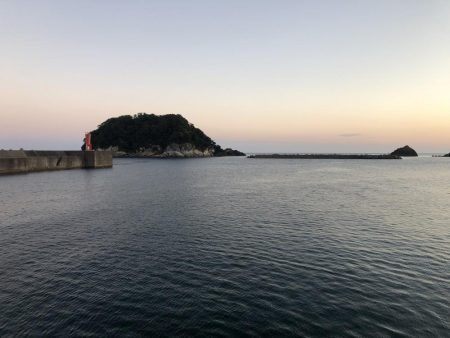 3ヶ月ぶりのアジ釣り