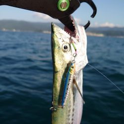 ゴムボート釣行