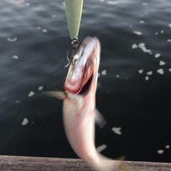 無風のシーサイド