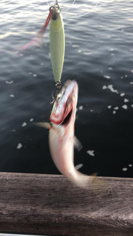 無風のシーサイド