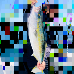 激シブ紀北ジギング