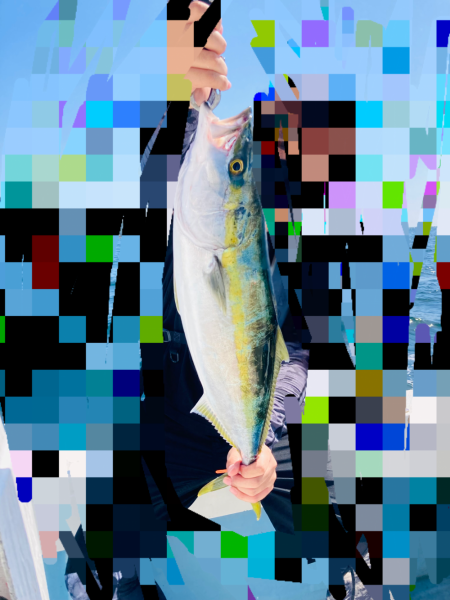 激シブ紀北ジギング