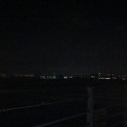 太刀魚の居なくなったシーサイド