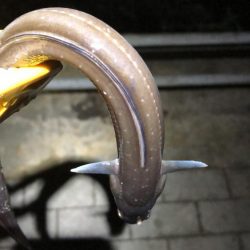 風の強い南港での釣り