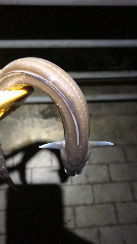 風の強い南港での釣り