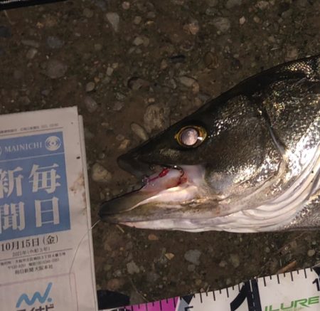 ががっときました。