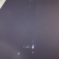 サーベルタチウオ