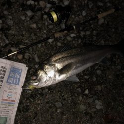 ががっときました。