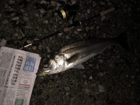 ががっときました。