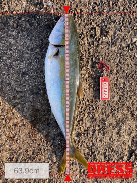 ナブラは終了!?