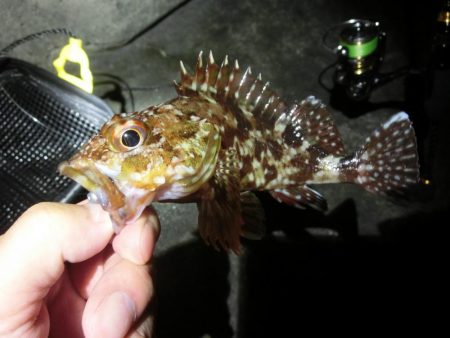 雨が降る前にライトゲーム