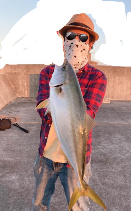 初ショアメジロ❗️ 南港リベンジャーズ