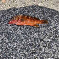 山陰のポテンシャル！