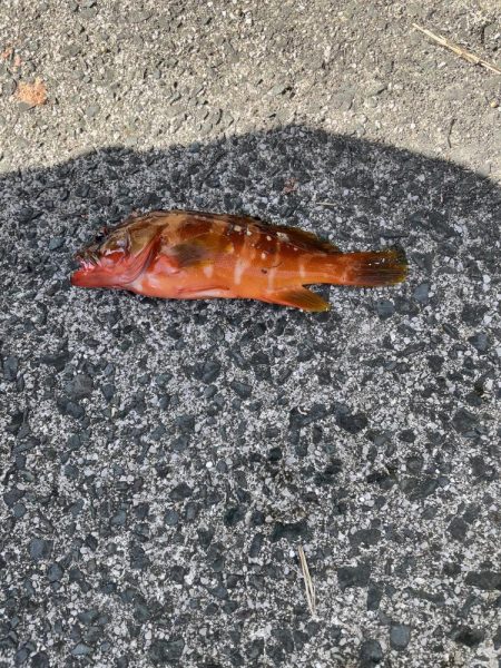 山陰のポテンシャル！