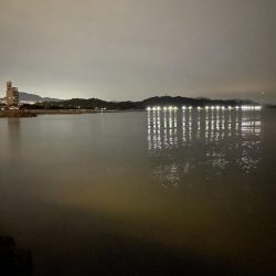 エギングで思わぬサイズ？！