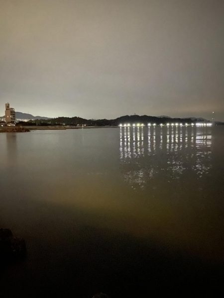 エギングで思わぬサイズ？！