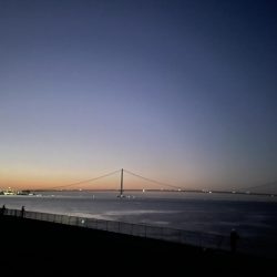 最近タチウオ渋いなぁ〜