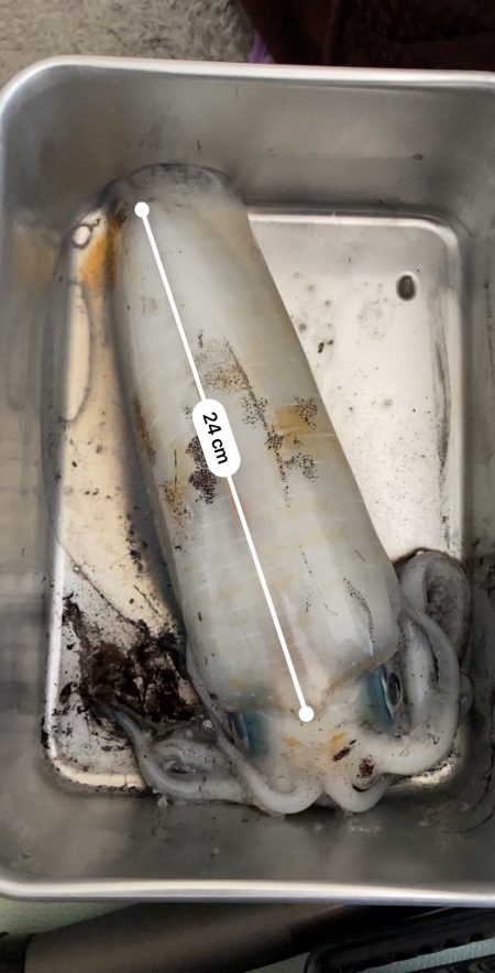 今シーズン最高