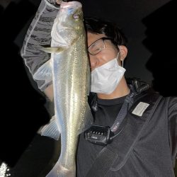 新河岸　バイブでシーバス