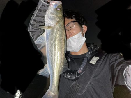 新河岸　バイブでシーバス