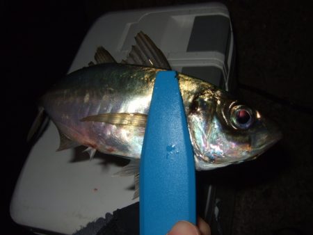 強風と寒さに耐えて