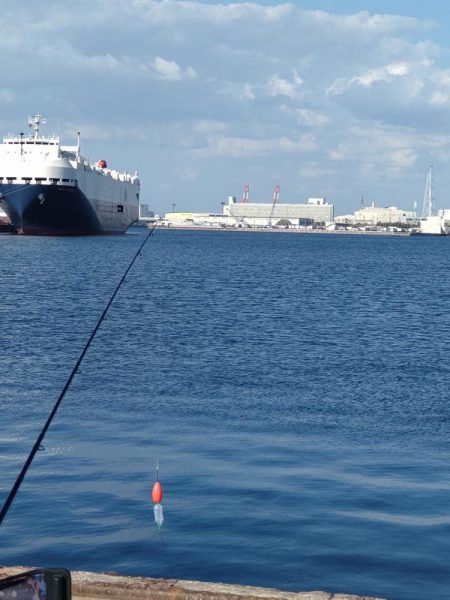 さよりの天ぷらが食べたくて！