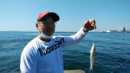 早朝から出撃しました