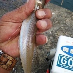 良型キスのアタリを楽しめました