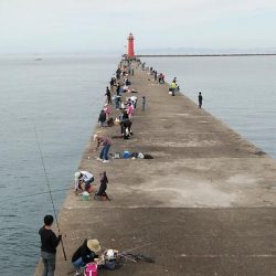 活性が下がった播磨新島のキス