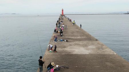 活性が下がった播磨新島のキス