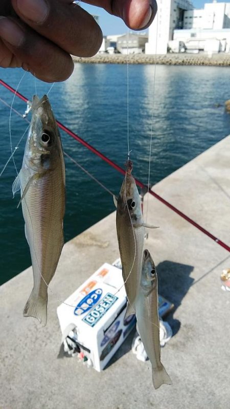 東二見に連投しました