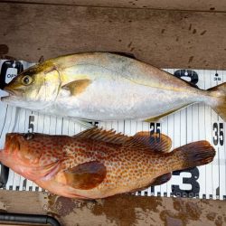 いい感じのシオ