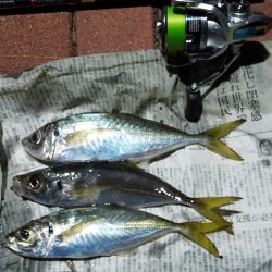 フロートリグのロングリーダー