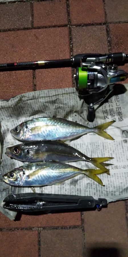 フロートリグのロングリーダー