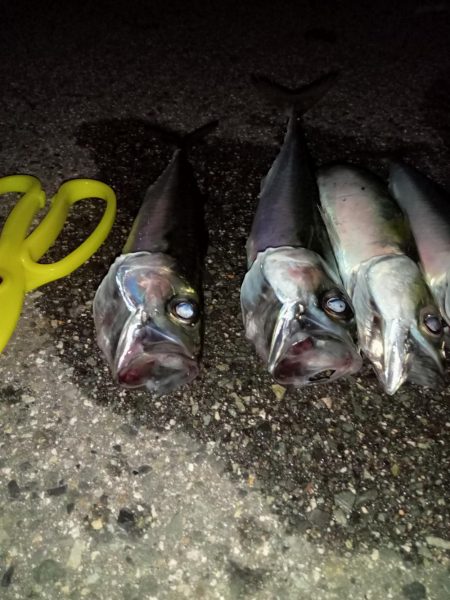 プチファミリーフィッシング　GAME