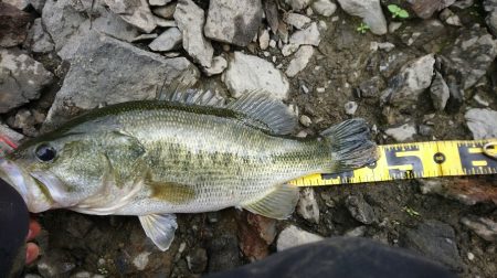 雨上がりの2時間釣行
