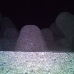 ちょいエギング