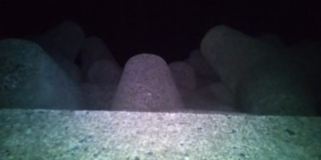 ちょいエギング